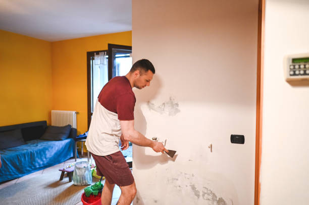 Best Localized Mold Remediation (e.g., coastal areas, humid climates) in Olathe, KS